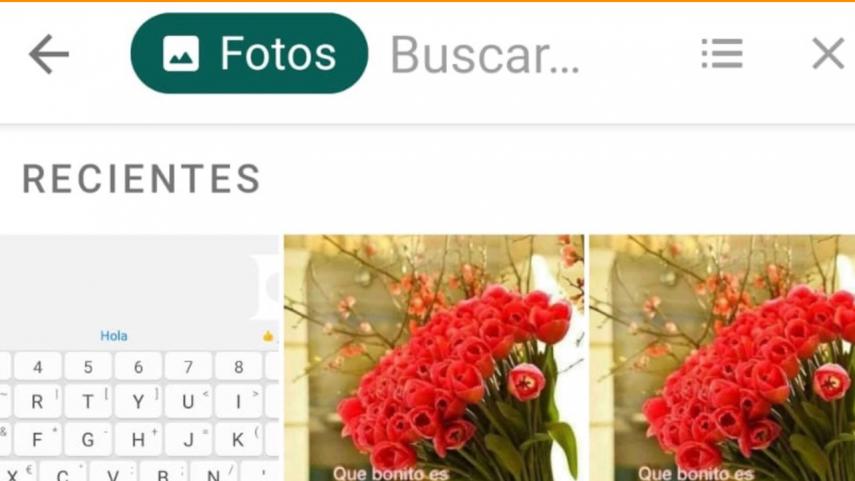 21.3busqueda-avanzada-whatsapp-2098079